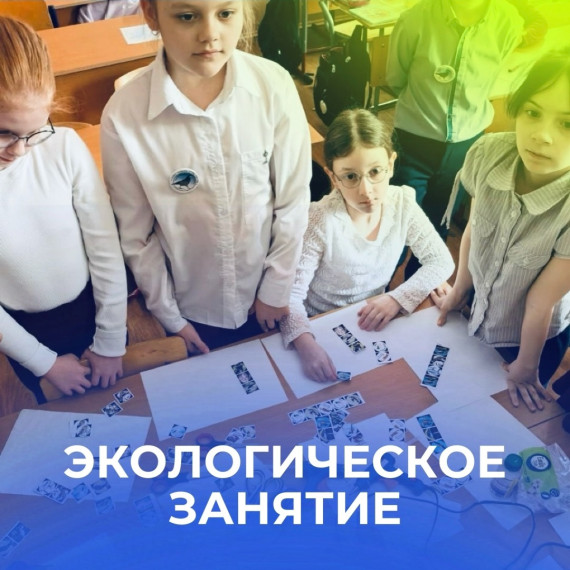 Экологическое занятие.